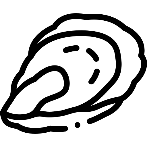 Line drawing of an oyster